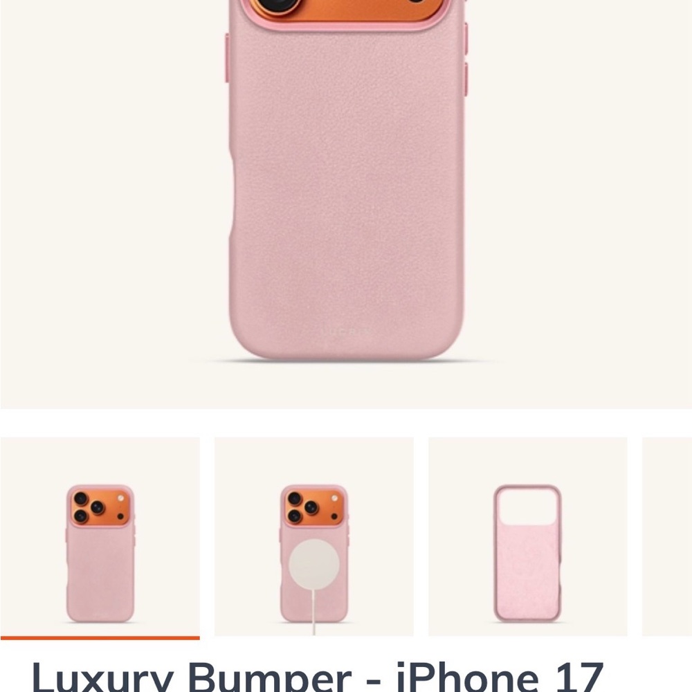 Elegant Pink iPhone 17 Case